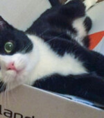 Mia Svg+xml,%3Csvg%20xmlns%3D%22http%3A%2F%2Fwww.w3